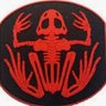 frogman67 profil fotoğrafı