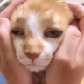 Profilbild von astu