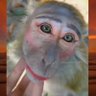 Upin_03's profile picture