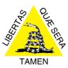 Mateus Breda's profile picture