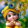 krishnakitcha 的头像