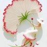 kapunka's profile picture