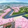 Фото профиля ちる