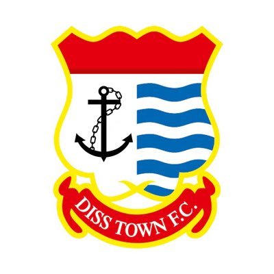 DissTownFC's profile picture
