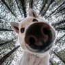 Monollll profil fotoğrafı