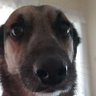 Profilbild von Tiyo