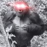Paul Miller 🛒 profil fotoğrafı