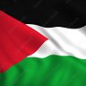 Nouri 🇵🇸 的头像