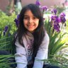 Rukhsanakashif's profile picture
