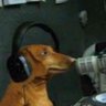 Connor, App State OC๐'s profile picture