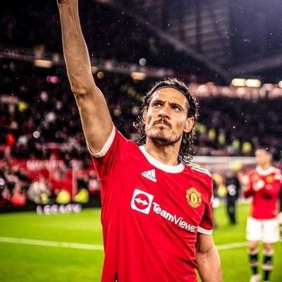 EL-MATADOR's profile picture