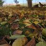 ergün profil fotoğrafı