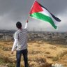 EL Abdel Ben's profile picture