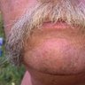 Profilbild von Barstoolpundit