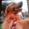 sandra Moller 💯🐾🐾 profil fotoğrafı