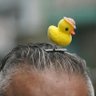 Profilbild von patito tapia 🐤