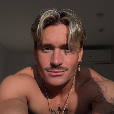 niko's profile picture