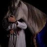 Profilbild von عبدالله