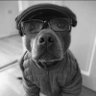 Profilbild von WockhardtConnoisseur
