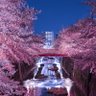 Фото профиля みお