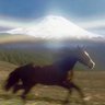 thalo edgedancer's profile picture