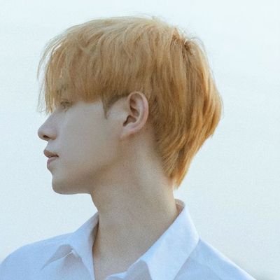 WH88997's profile picture