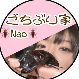 🪳ごちぶり家🪳Naaaaaaa's profile picture