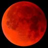 アップル🍎ムーン🌕's profile picture
