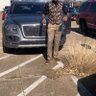 TheBigDiccGentleman's profile picture