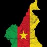 Ibrahim Housseini's profile picture