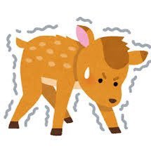脚が子鹿's profile picture