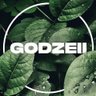 Фото профиля Godzeiiii