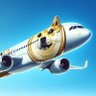 Profilbild von DogeAirline ✈️