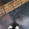 k 的头像