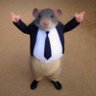 Profilbild von greystoke7