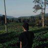 BOY 的头像