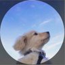 DVN's profile picture