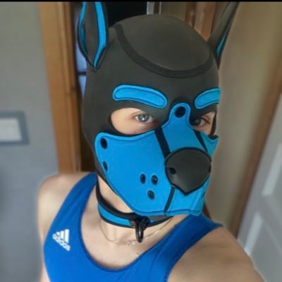 CCockFist's profile picture
