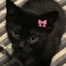 fu's profile picture