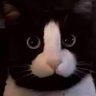 @ricemillman profil fotoğrafı