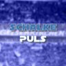 Schalke Puls 💙🤍 的头像