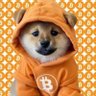 #009sang🐼 profil fotoğrafı