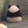 Profilbild von ต้าวก้อนกลม 🍙