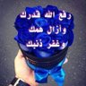 SalehAhmed's profile picture