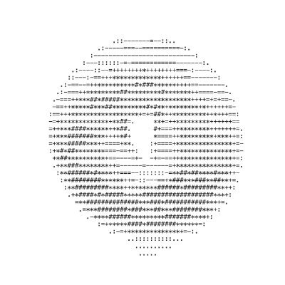 Bagel Fund's profile picture