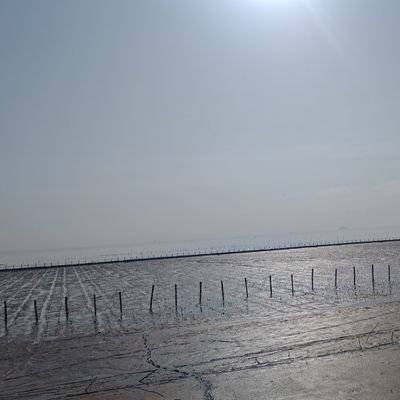 wCU9Jd66QC521TN's profile picture