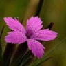 slyman profil fotoğrafı