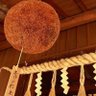レッツゴータージン's profile picture