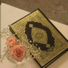 أزهار الخريف 的头像