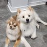 Kjgulflife 的头像